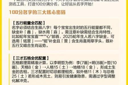 取名打分免费测试软件下载