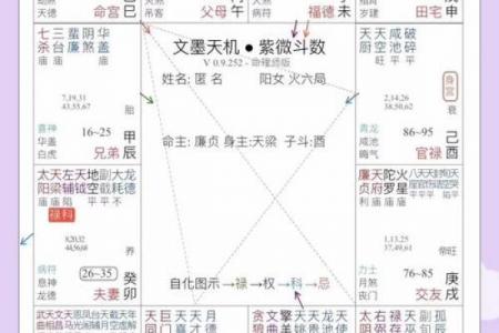 紫微斗数诸星落命宫之：天府星详解