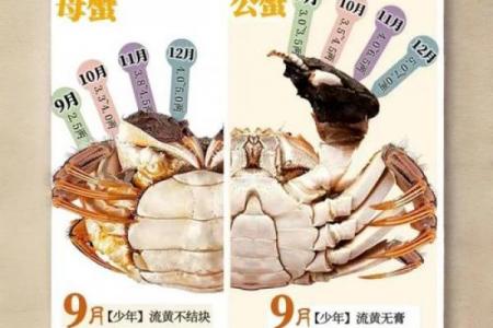 哪个星座爱吃大闸蟹