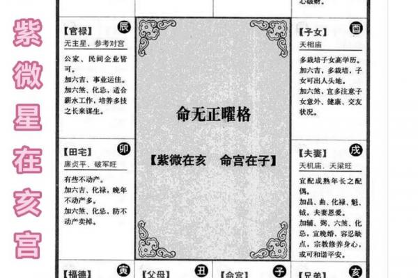 紫薇斗数子女宫在子