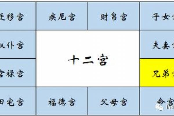 紫薇斗数子女宫在子