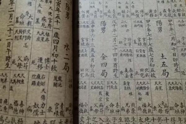 紫薇斗数宫位破