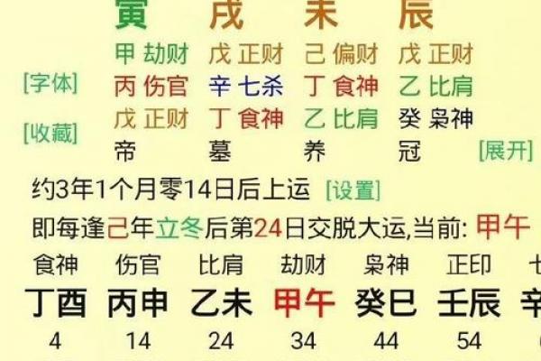 朱棣八字,朱元璋八字大运