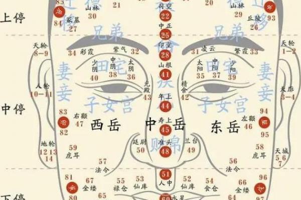 面相额头 女人额头高算命