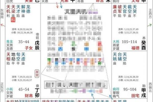 紫薇斗数慈禧命盘