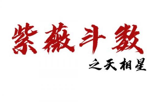紫薇斗数中的天贵