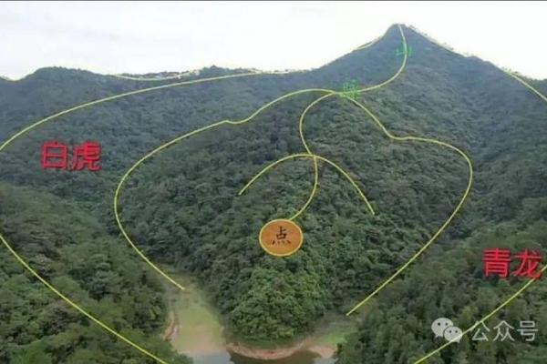 坟地风水断语，不用罗盘断无误