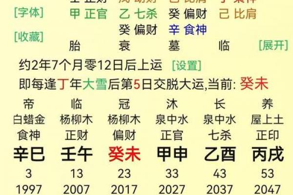 八字丁巳日