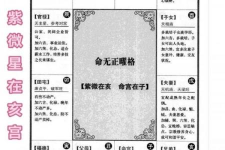 紫薇斗数子女宫在子