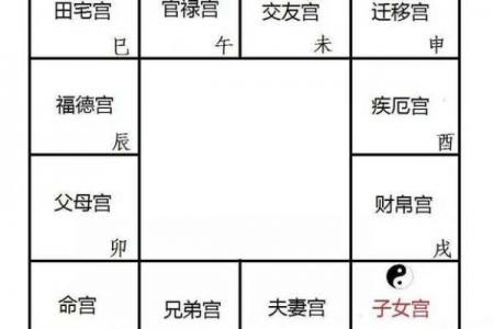 紫薇斗数宫位破