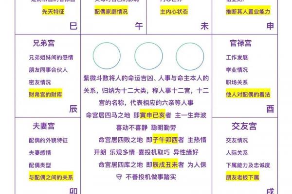 紫薇斗数看做什么