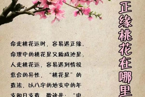 八字论命方法潘昭佑,潘昭佑的预测水平