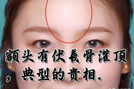 面相算命入门：三停，什么是三停？