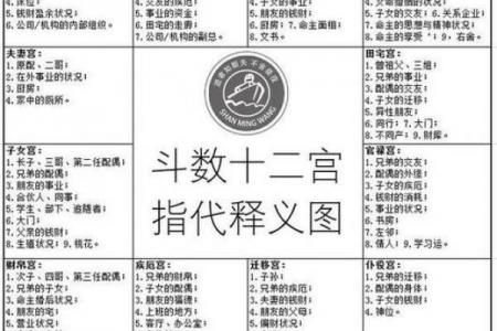 紫薇斗数看做什么