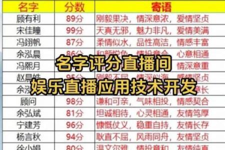 起名免费取名打分测试结果,起名网免费打分测试