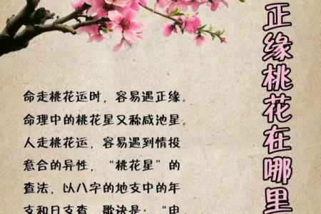 八字论命方法潘昭佑,潘昭佑的预测水平