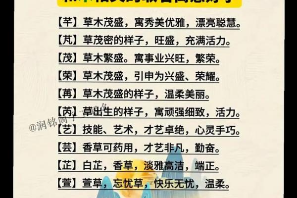 取名字大全生辰八字免费,新生儿五行查询和取名
