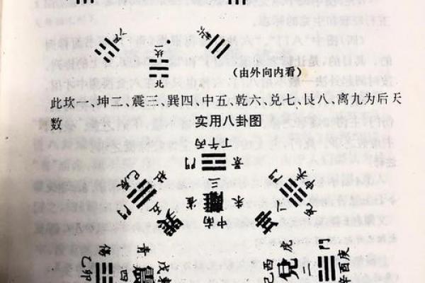 紫微斗数之八卦万物类象：乾卦详解