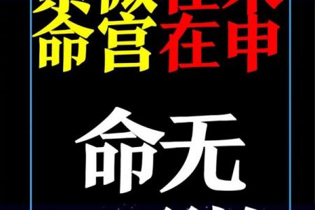 手机免费算命不求人