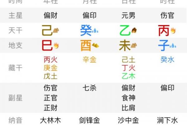 八字己巳