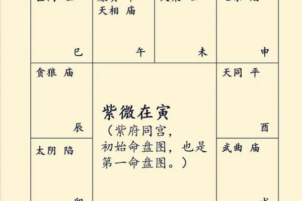 紫薇与斗数