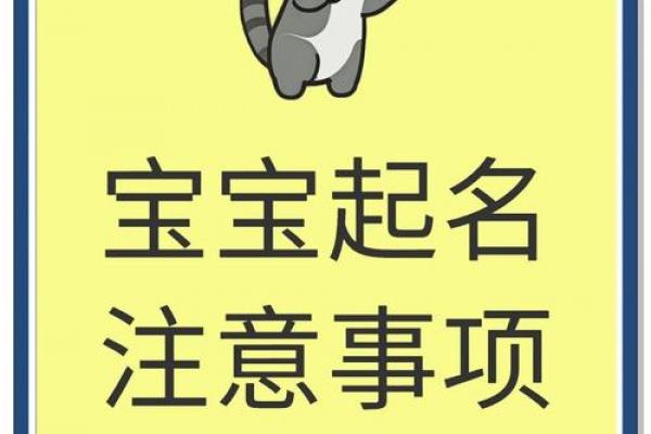 宝宝名字手机打分测试