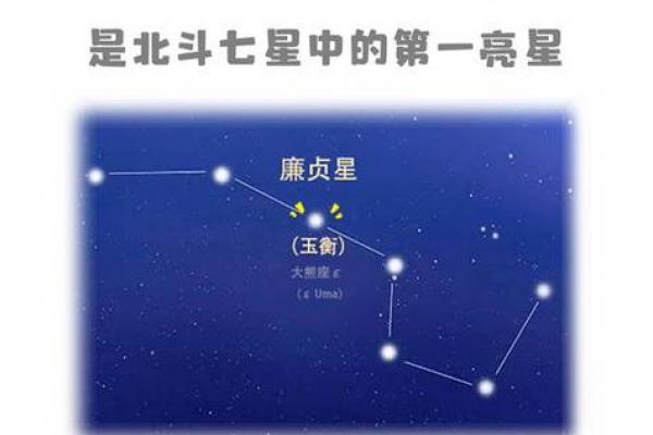 紫微斗数之活用斗数预测生活百事-预测方法简介 紫微斗数之活用斗数预测生活百事-预测方法简介