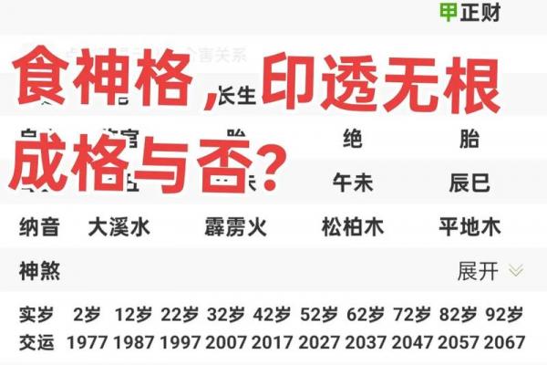 八字中的食神格是什么意思？