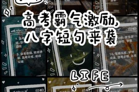 八字激励