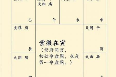 紫薇与斗数
