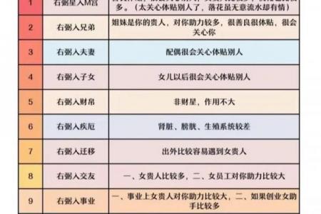 惯索紫薇斗数
