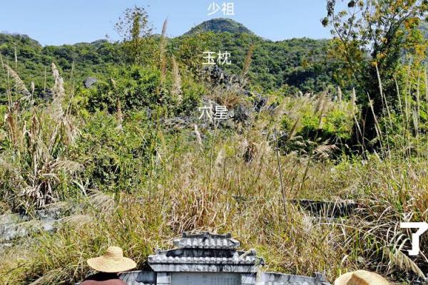 坟地风水后辈出贵人的祖坟风水