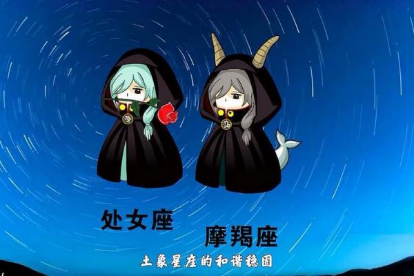 处女座适合什么星座做兄弟的
