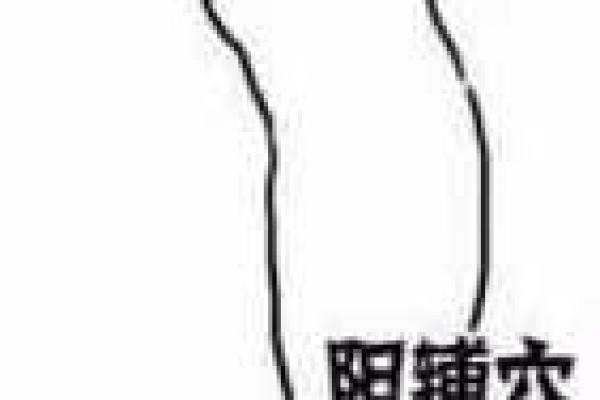 签灵鸡足3签
