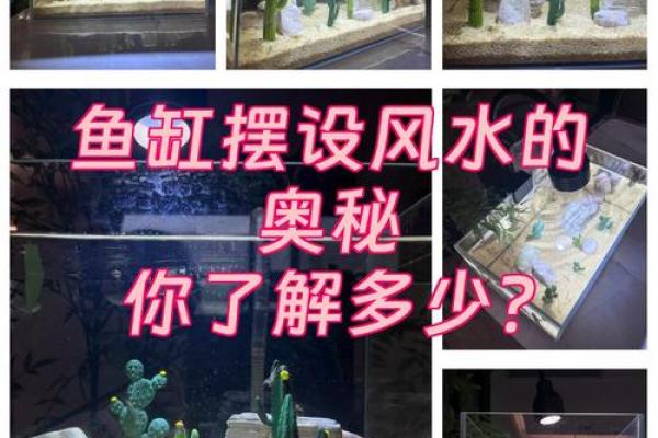 鱼缸的风水妙用