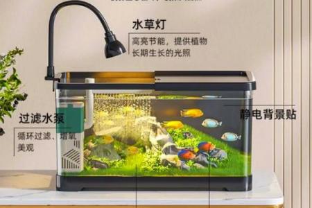 鱼缸的风水妙用