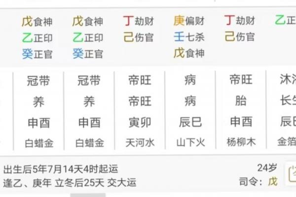 生辰八字排命盘