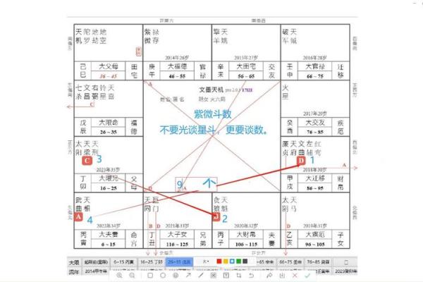 元享紫薇斗数