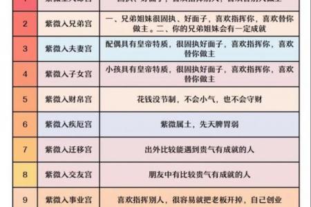 元享紫薇斗数