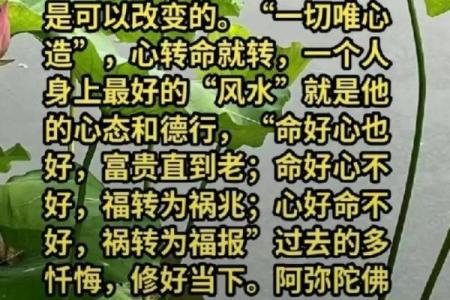 世间最好的风水：家净、人净、心净，福报自来！