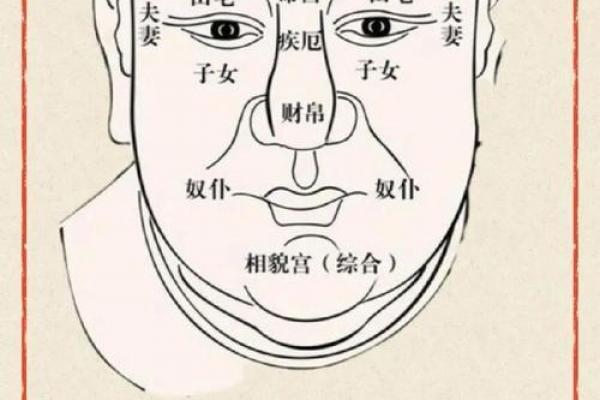 面相算命，让你分钟看透一个人