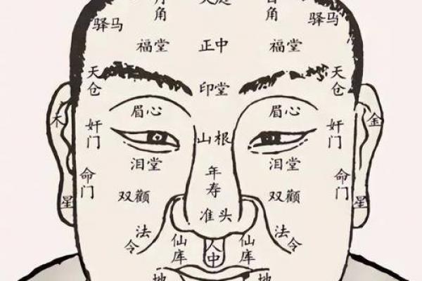 面相算命，让你分钟看透一个人