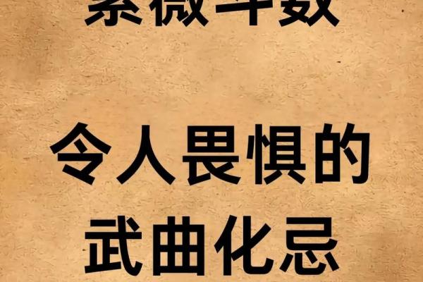 紫薇斗数文曲