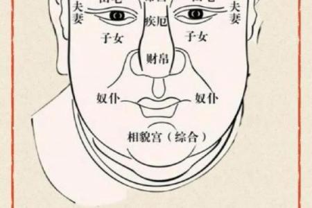 面相算命，让你分钟看透一个人