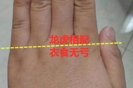 断掌算命,断掌上面还有感情线