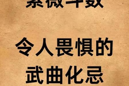 紫薇斗数文曲