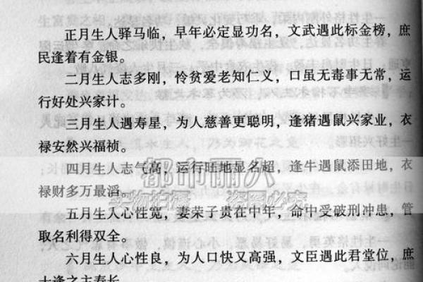 青岛算命价格表