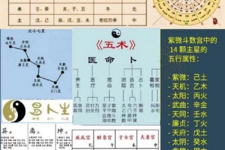 紫薇斗数太阴太阳代表
