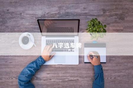 八字选车牌