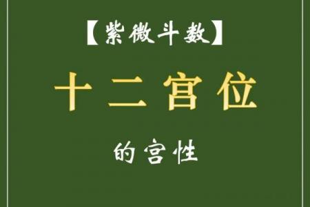 紫薇斗数1宫2宫